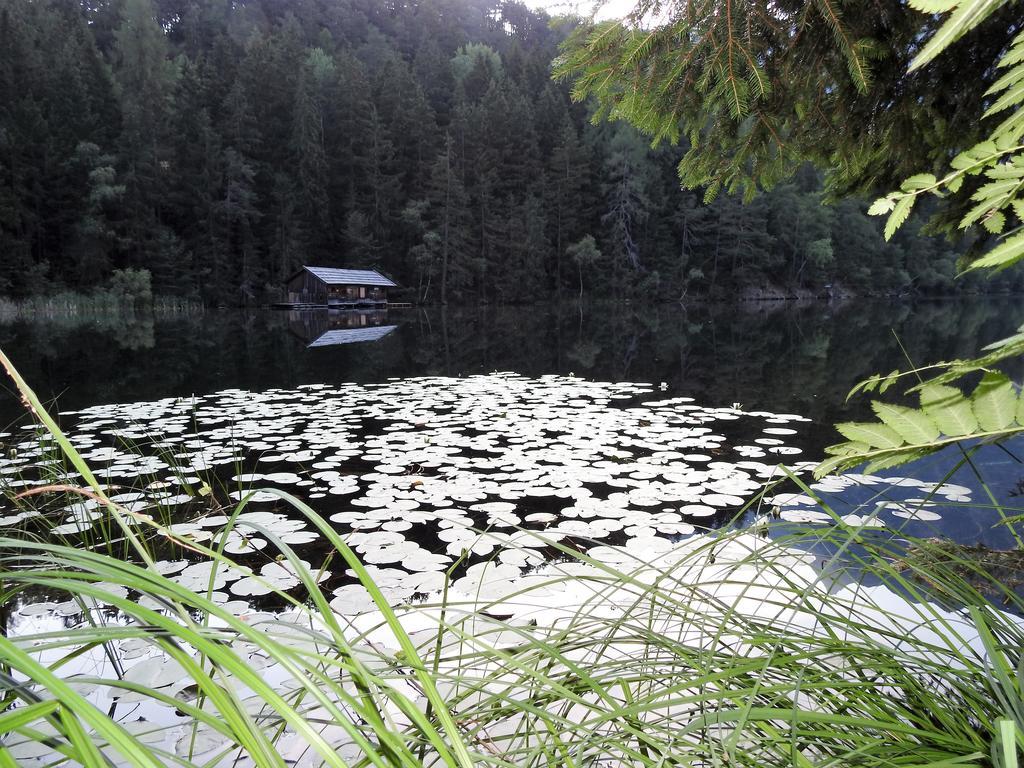 Gasthof Piburger See Hotel Oetz Exterior foto